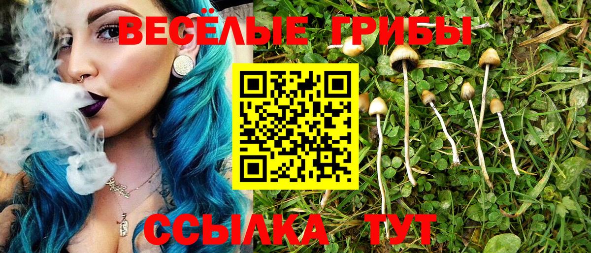 Дагестанские Огни  Псилоцибиновые грибы прущие грибы  Вход с VPN  Псилоцибиновые грибы мицелий 